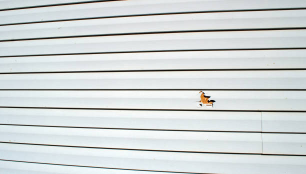 Reliable Haddon Heights, NJ Siding Installation & Repair Solutions