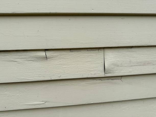 Best Engineered Wood Siding  in Haddon Heights, NJ